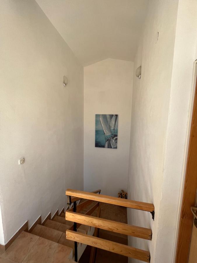 Apartments And Rooms Markovski Palit المظهر الخارجي الصورة